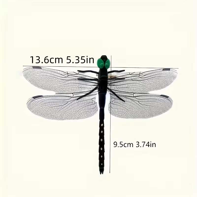 Abmessungen Libelle