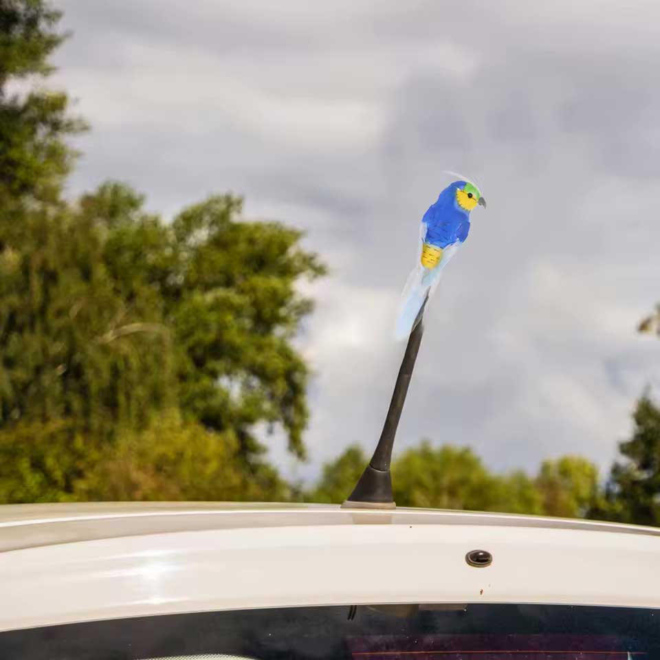 Antennen-Topper VOGEL Anwendungsbeispiel