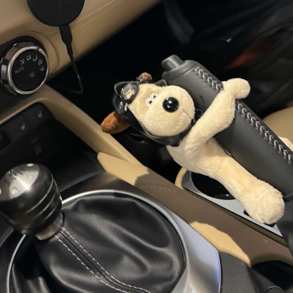 Plüsch-Piloten-Hund HUNDI Anwendungsbeispiel